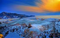 茶山雪韵
