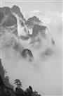 水墨黄山千秋画
