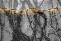 皖南秋忆,最忆是宏村