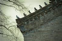 古宅逢春
