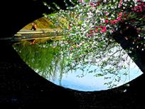 “情人眼中......”