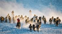 《雪域牧马》