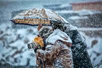 《雪中情》