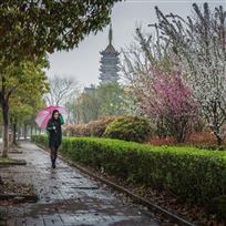春雨江南