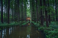 森林木屋