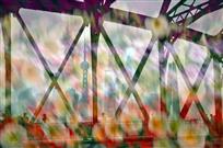 百年黄浦江（组照）