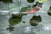 仲夏荷塘韵（多次曝光）