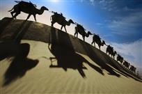 希望之舟在天涯