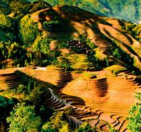 《金色圆舞曲》