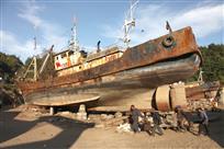 肩扛背舵码蚁啃骨头精神传承展现