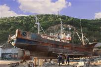 肩扛背舵蚂蚁啃骨头精神展现