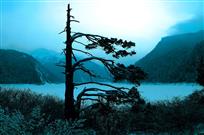 冬日长海
