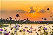 朝花夕拾
