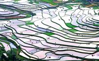 田园诗