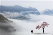 山雾欲来