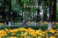 夏日古淮河生态公园