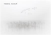 叶落雁南度，北风湖上寒