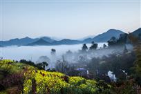 淡烟流云秀春色