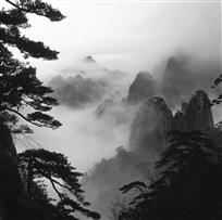 《画境》