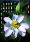 妙笔生花