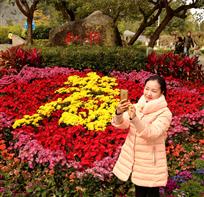 和谐春色驻人间