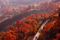 《沿途风景别样美》