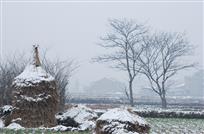 乡间雪景
