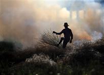 《农民的舞蹈》》