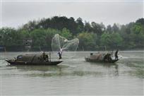 淅淅春雨绽渔花