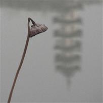 残荷