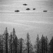 泛舟西湖