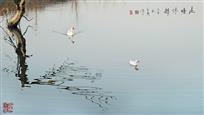 《池塘情趣》1