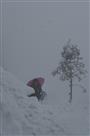 风雪归人