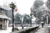 雪中行