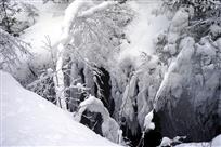 已是悬崖百丈雪
