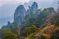 黄山秋色