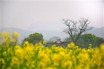 乡村三月春意满