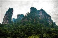 金鞭溪神奇山