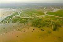 黄河入海口湿地