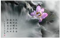 留香暗袭人