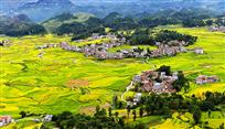 锦绣山村