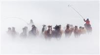《风雪兼程》
