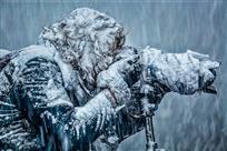 《风雪中守拍》