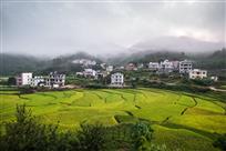 乡村早晨
