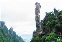 蟒蛇出山2