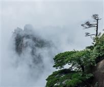 三青山仙景