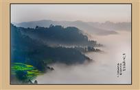 《如似云海漫山乡》