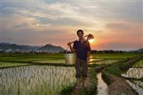 走在希望的田野上