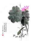 画意清莲图