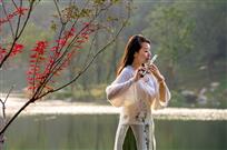 红叶寄相思